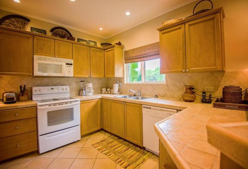 3침실 디럭스 아파트 바다 전망, Hrg Condos At Los Suenos