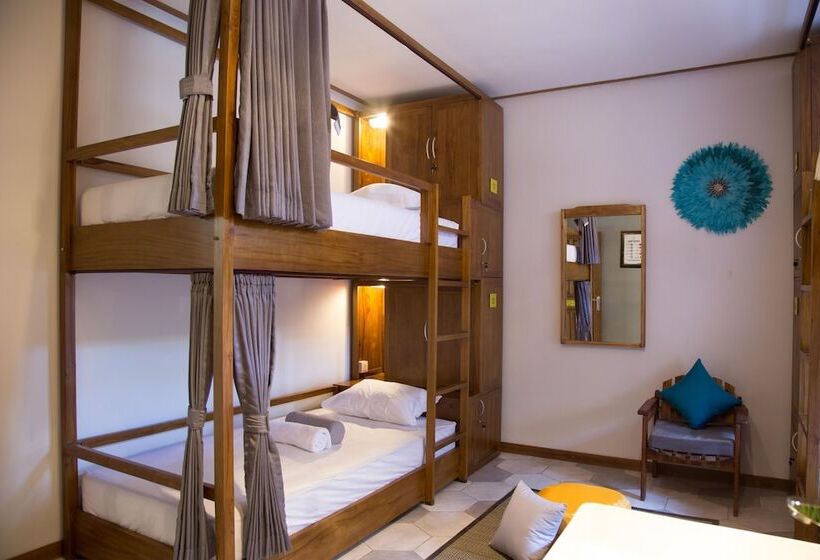 Кровать в Общей Комнате, Interconnection Hostel