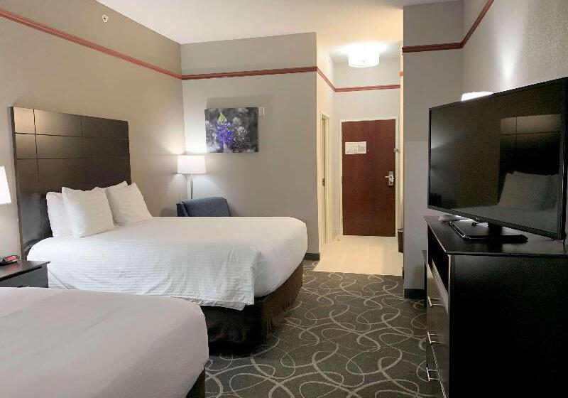 Кровать в Общей Комнате, Interconnection Hostel