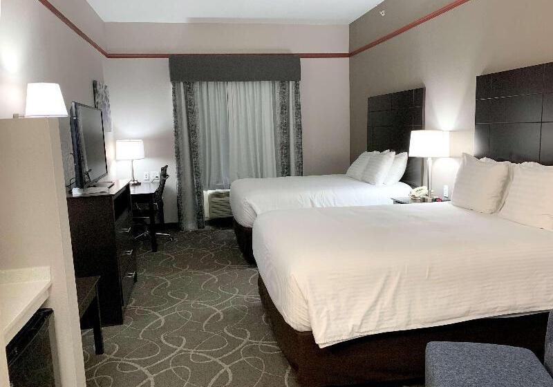 سرير فى غرفة مشتركه, Interconnection Hostel