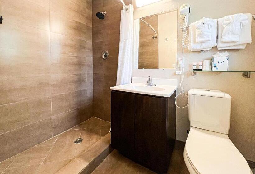 带1个卧室的公寓, Winterset