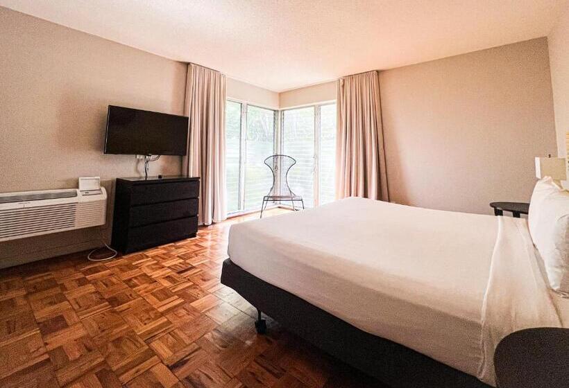 带1个卧室的公寓, Winterset