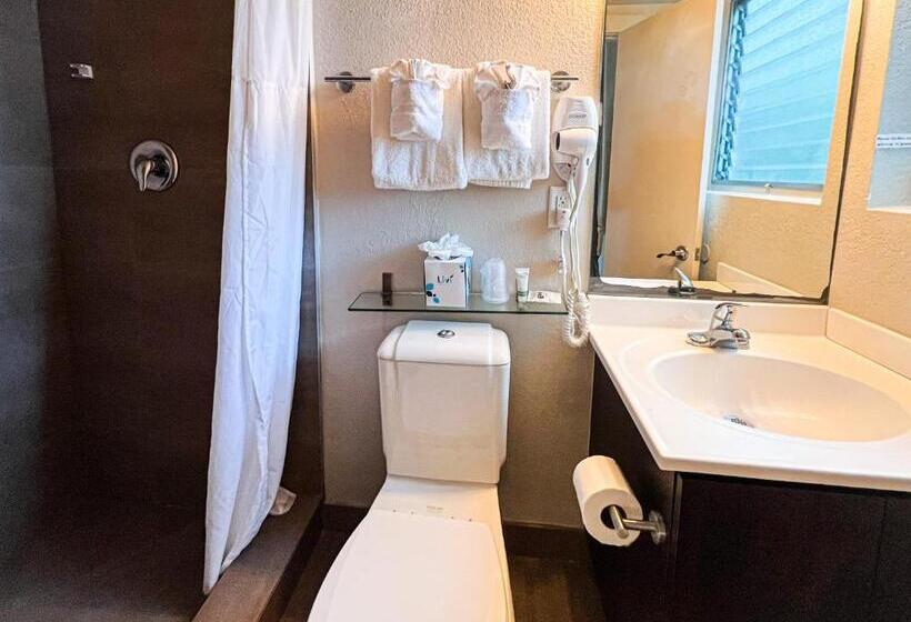 标准工作室, Winterset