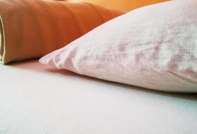 이코노미 싱글 룸, Blue Sky Guest House Dambulla