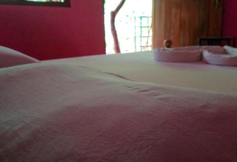 이코노미 싱글 룸, Blue Sky Guest House Dambulla