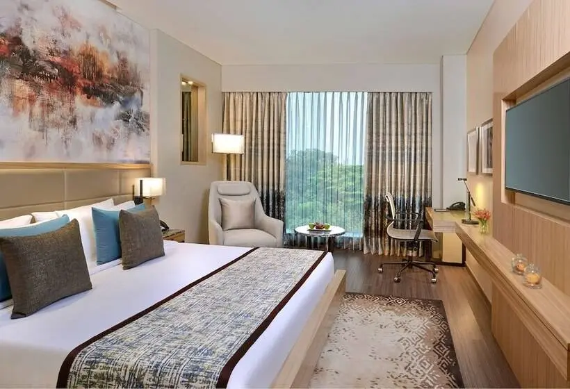デラックスルーム, Radisson Mumbai Andheri Midc