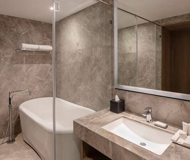 سوییت, Radisson Mumbai Andheri Midc