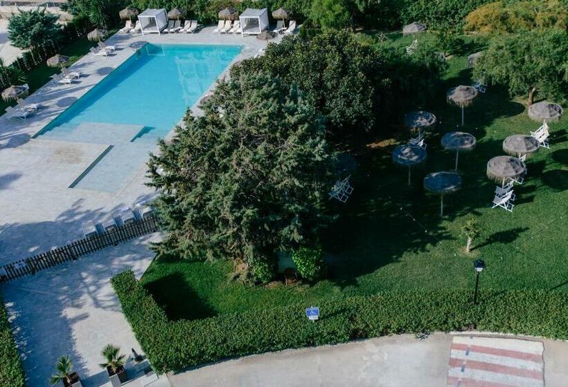 Номер Стандарт, Almirante