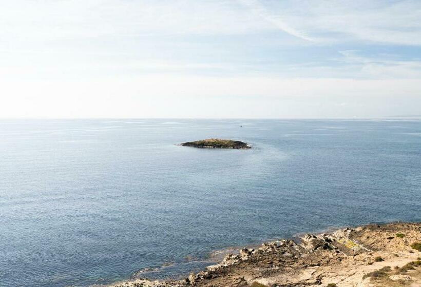 オーシャンビュースタンダードルーム, Aluasoul Palma Hotel Adults Only