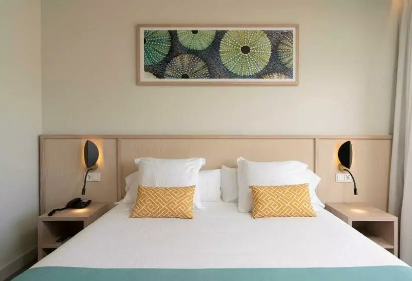 اتاق پرمیوم, Aluasoul Palma Hotel Adults Only