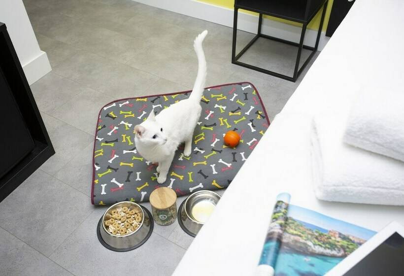 패밀리 룸 바다 전망, Casual Pop Art Benidorm