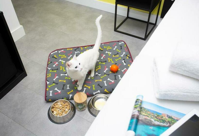 스탠다드 발코니 룸 바다 전망, Casual Pop Art Benidorm