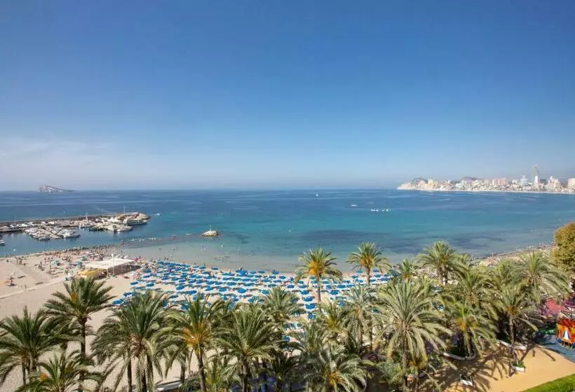 اتاق اقتصادی با چشمانداز دریا, Casual Pop Art Benidorm