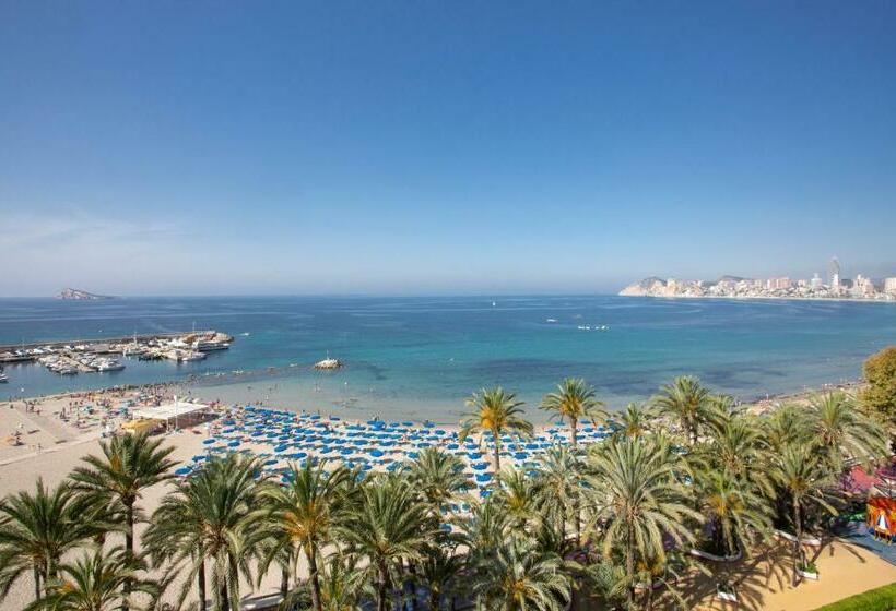 스탠다드 테라스 룸 바다 전망, Casual Pop Art Benidorm