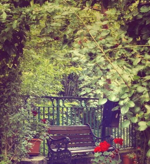 스탠다드 싱글 룸, Rural El Molino