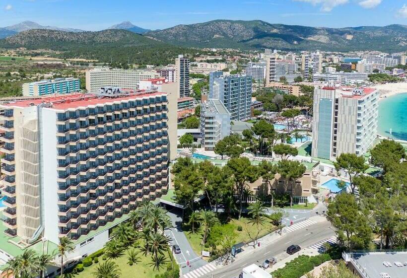 اتاق استاندارد, Sol Barbados