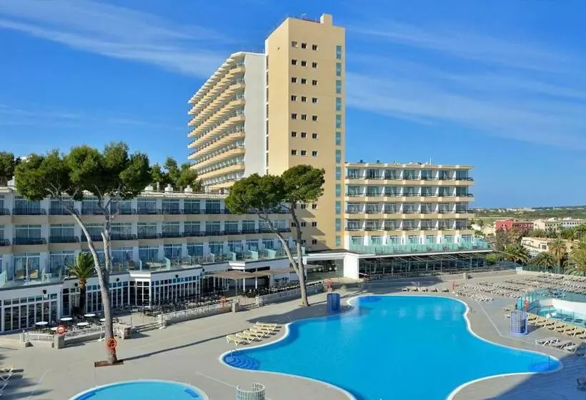 Camera Familiare, Sol Barbados