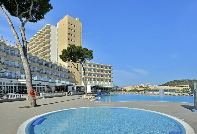 اتاق خانوادگی, Sol Barbados