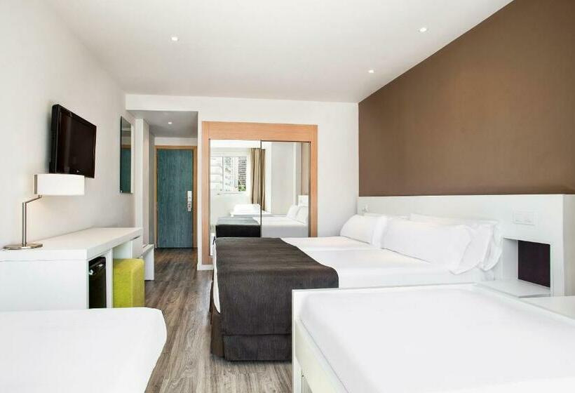 家庭间, Sol Pelicanos Ocas