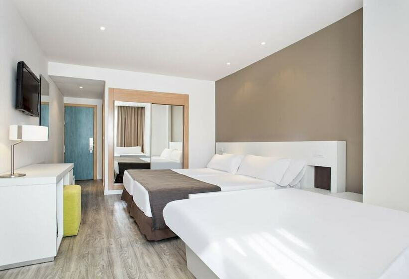 家庭间, Sol Pelicanos Ocas