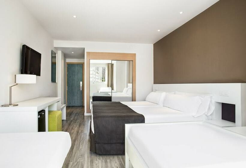 家庭间, Sol Pelicanos Ocas