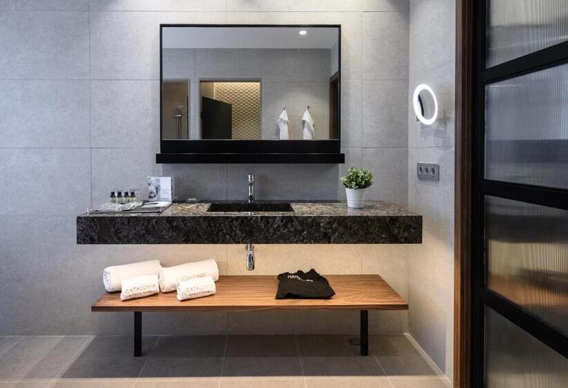 Люкс с Террасой, Catalonia Barcelona Plaza