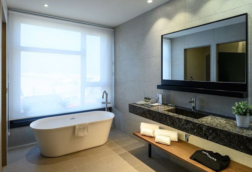 Люкс с Террасой, Catalonia Barcelona Plaza