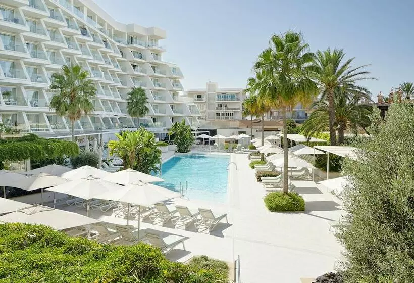 Juniorsviitti Allasnäkymä, Iberostar Selection Playa de Palma
