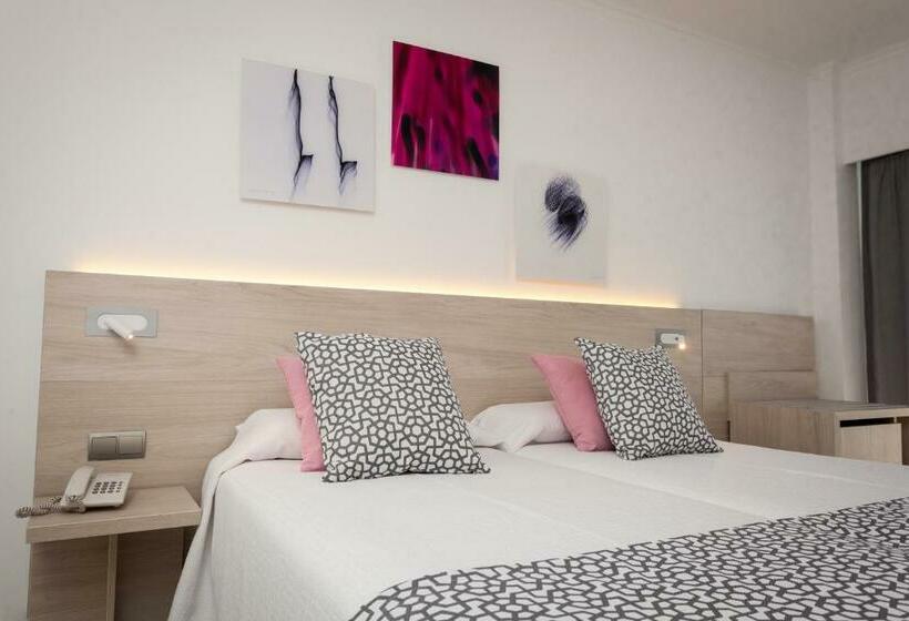 Cameră Standard, Timor