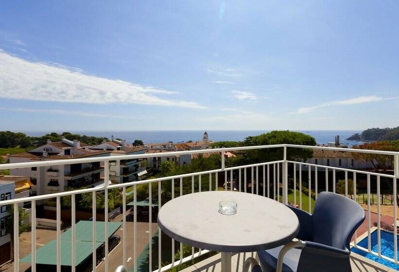 Номер Премиум, Alga