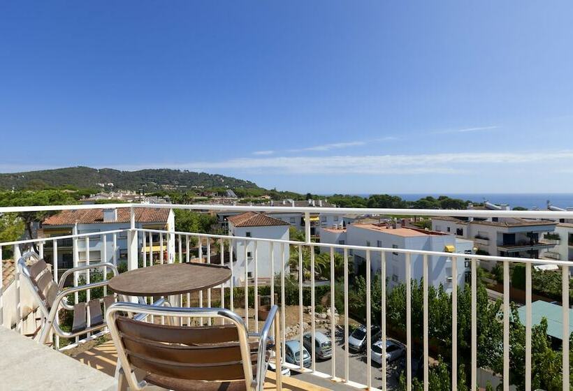 اتاق پرمیوم, Alga