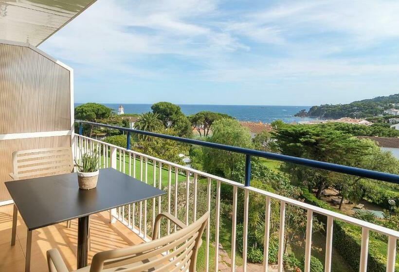 수피리어 룸, Alga