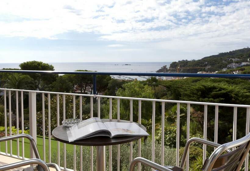 Quarto Superior, Alga