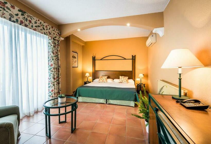 标准间带游泳池, Intur Azor