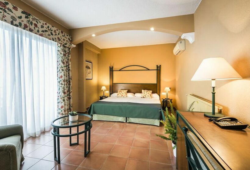 标准间带游泳池, Intur Azor