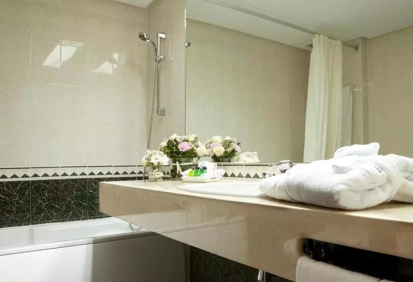 اتاق استاندارد با تخت بزرگ, Intelier Rosa