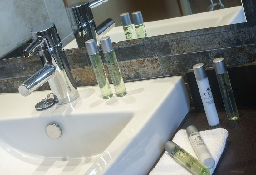 חדר סטנדרט, Sercotel Codina