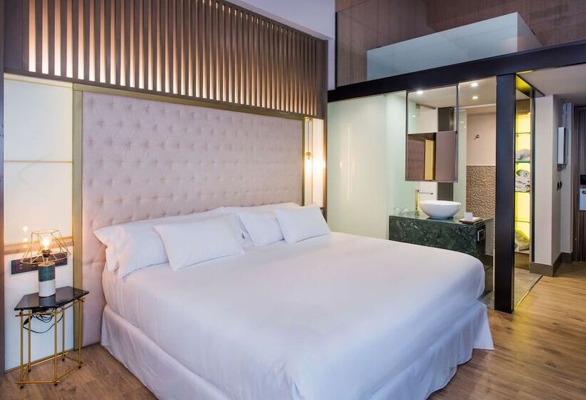 Duplex Room, Barcelo Ourense