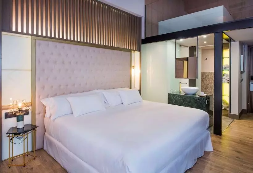 اتاق دوبلکس, Barcelo Ourense