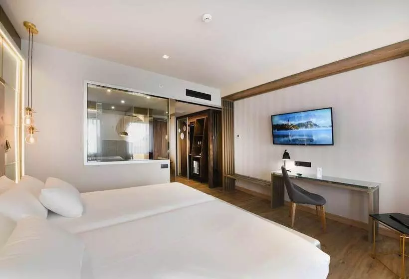 اتاق سوپریور, Barcelo Ourense
