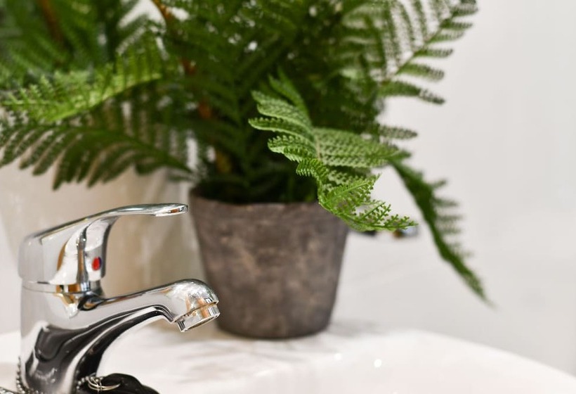 标准单人间, Celta