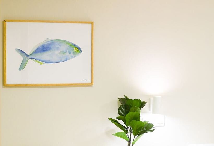 标准单人间, Celta