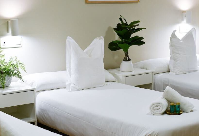 标准三人间, Celta