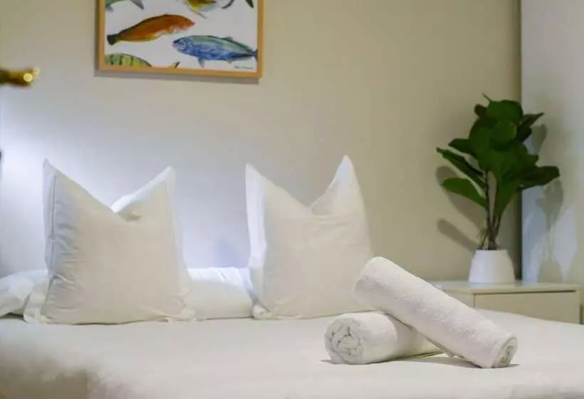 Economy Zimmer, Celta