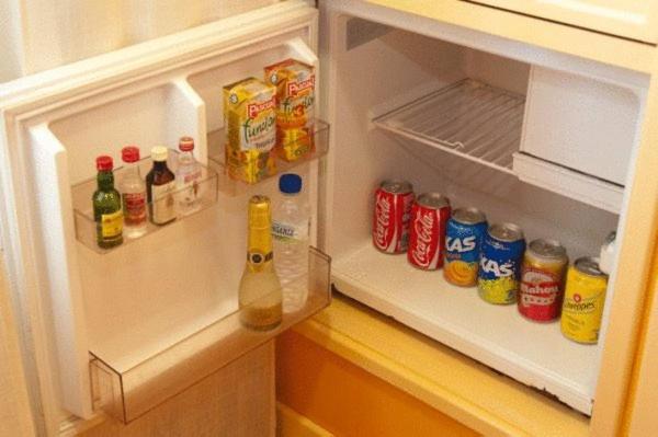 اتاق استاندارد با تخت بزرگ, Holiday