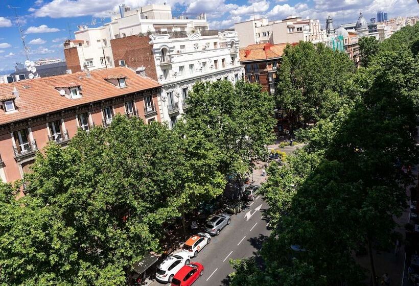 اتاق اجرایی, Wellington Hotel & Spa Madrid