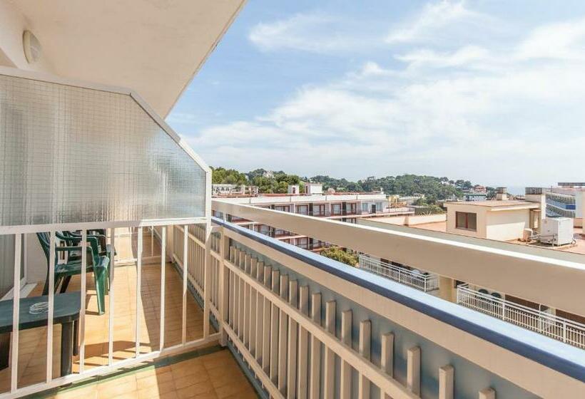 Номер Стандарт, Bluesea Montevista Hawai