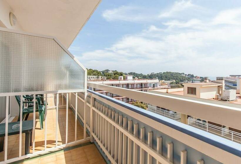 Номер Стандарт Трехместный, Bluesea Montevista Hawai