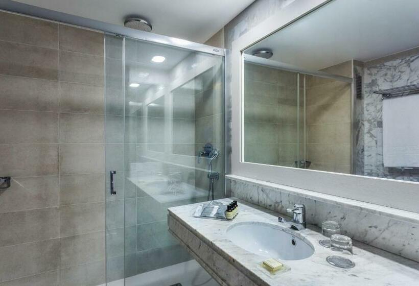 标准单人间, Catalonia Santa Justa