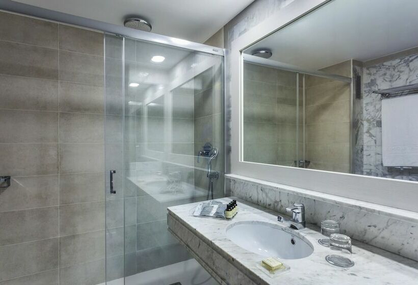 标准单人间, Catalonia Santa Justa